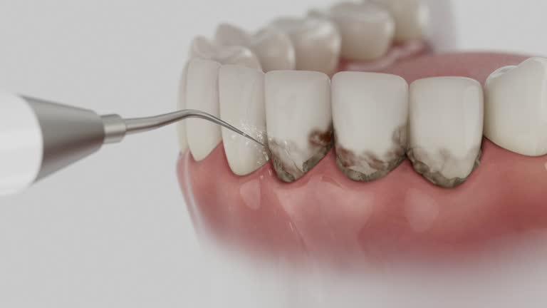 Reliable Dental contractor in South Rosemary, NC by Dentist Open Now